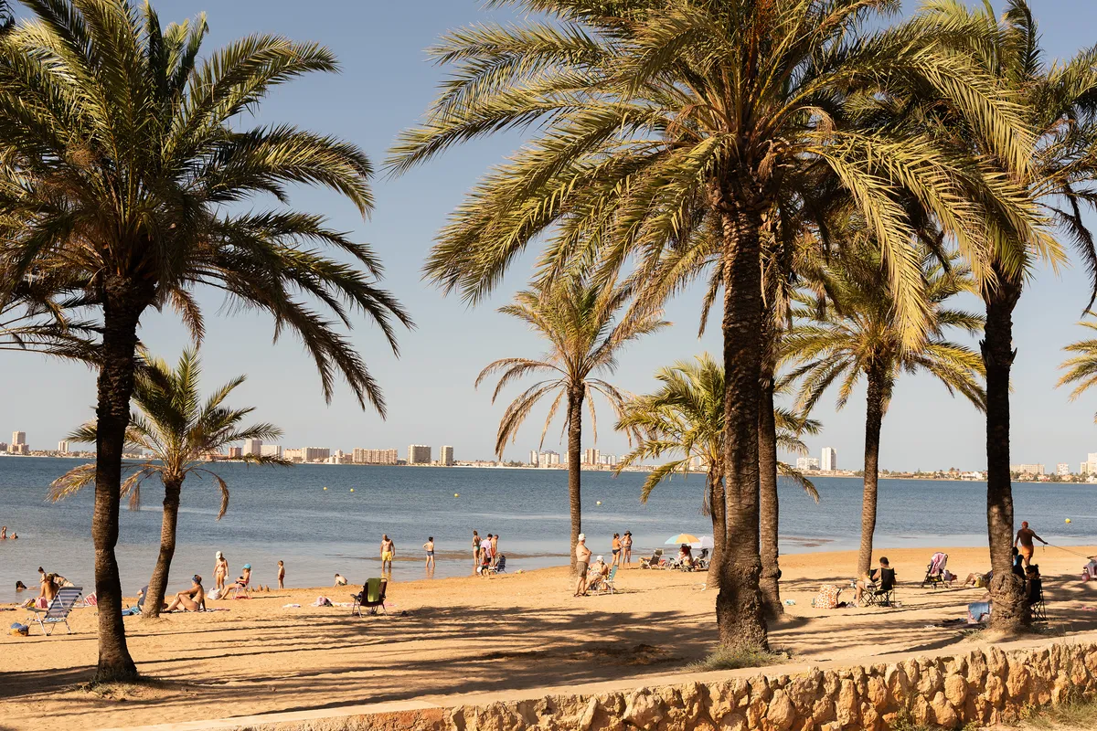 Fotografía La Manga Palmeras